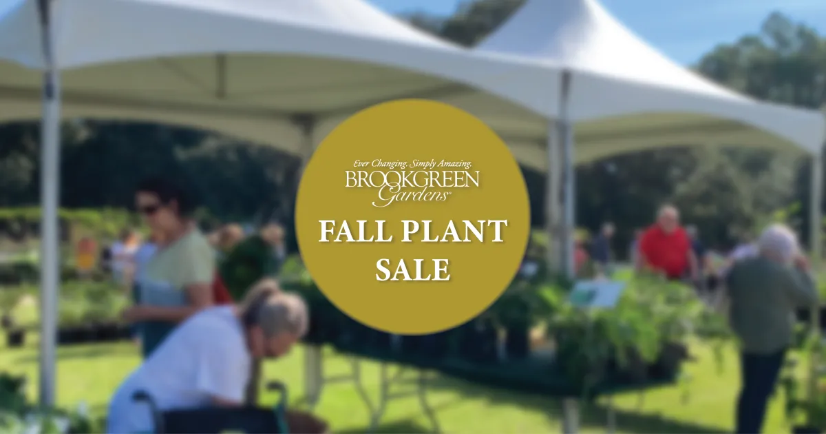 Brookgreen Gardens' Plant Sales A HowTo Guide Brookgreen
